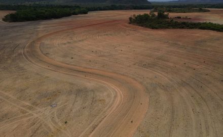 <?php bloginfo("name"); ?> - Fim da Moratória da Soja pode ampliar destruição da Amazônia